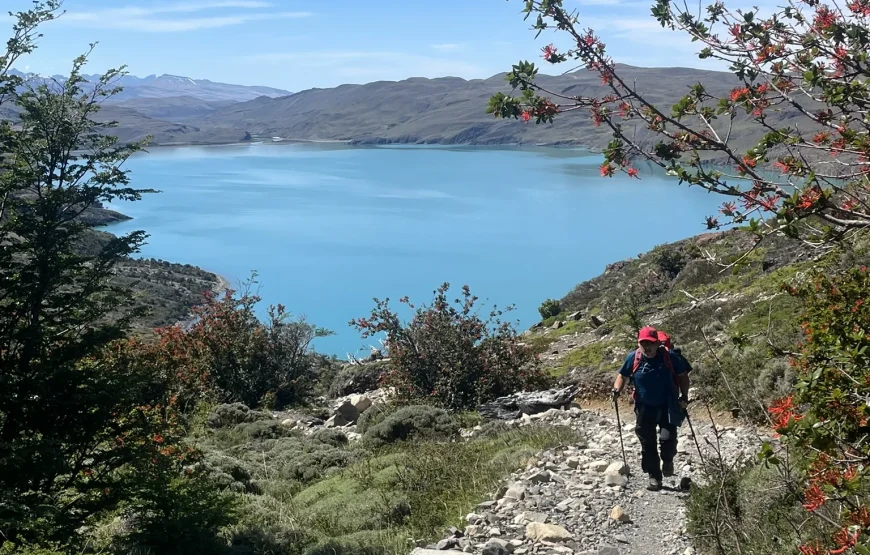 Guided W Trek 4 Days: Explore Torres del Paine Adventure